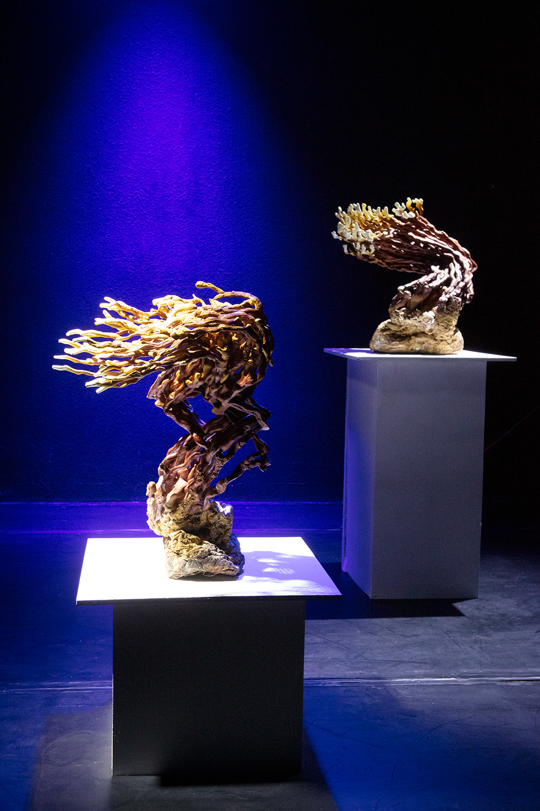 Installation shot of two mushroom specemins on white pedestals under dramatic spotlights